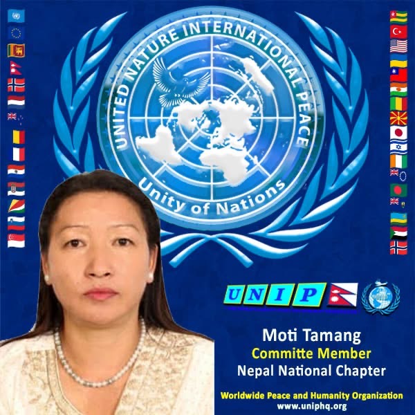 Organization member