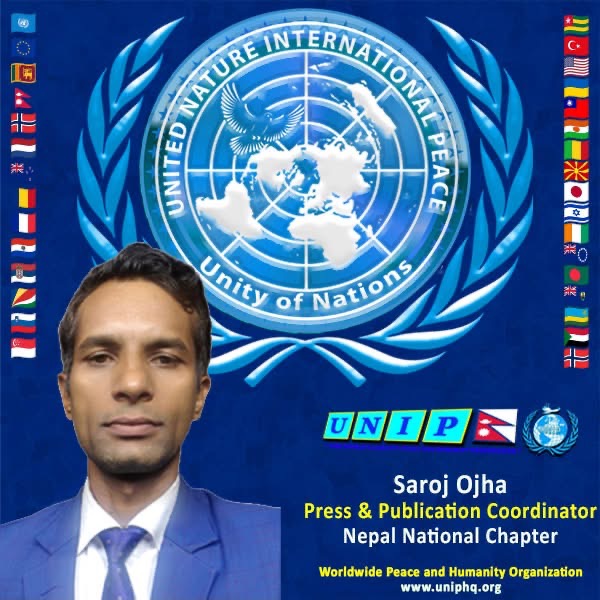 Organization member