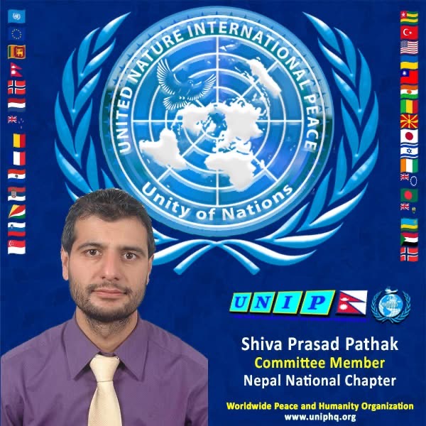 Organization member